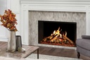 Uptown - UE42 LCD Electric Insert/Fireplace w/Remote - 120V Heater